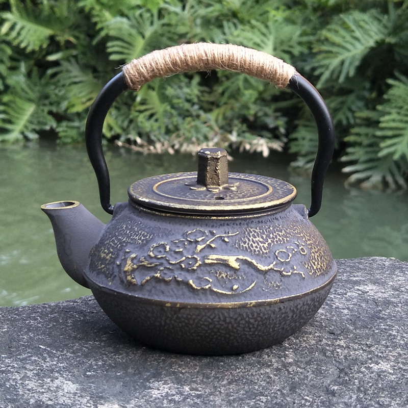 Cast Iron Teapot Japanese Tets - Cast Iron Teapot recension och pris