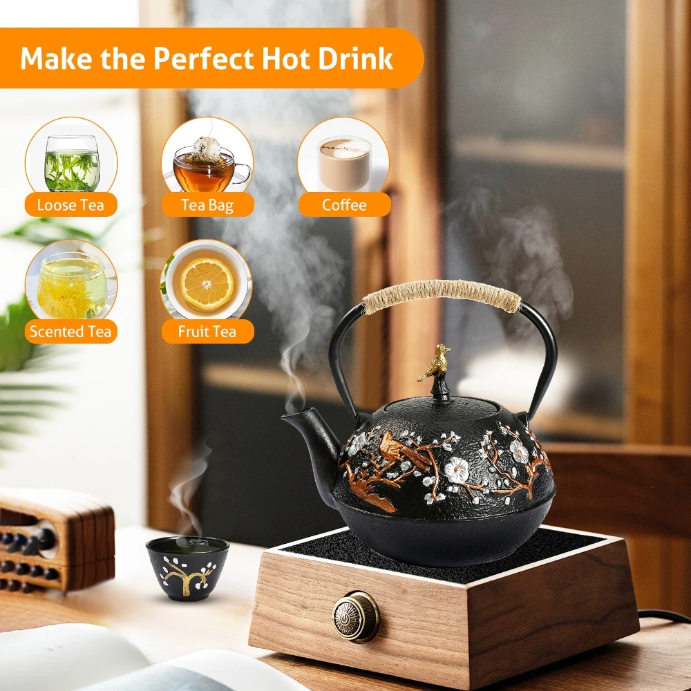 Cast Iron Teapot Set with Alco - Cast Iron Teapot recension och pris