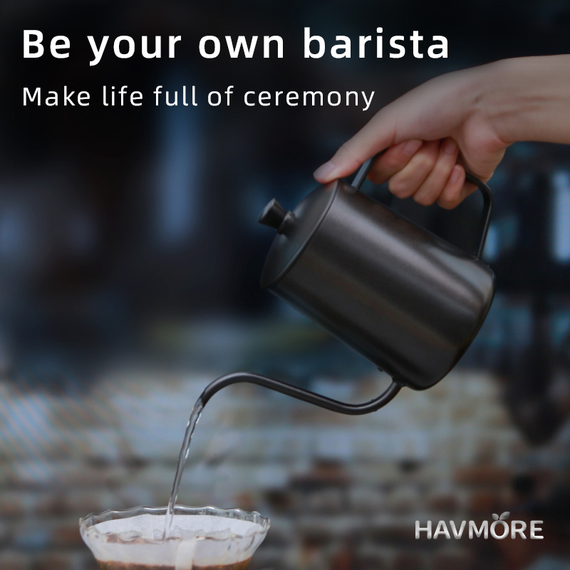 HAVMORE 304 Stainless Steel Te - Coffee Tea Brew recension och pris